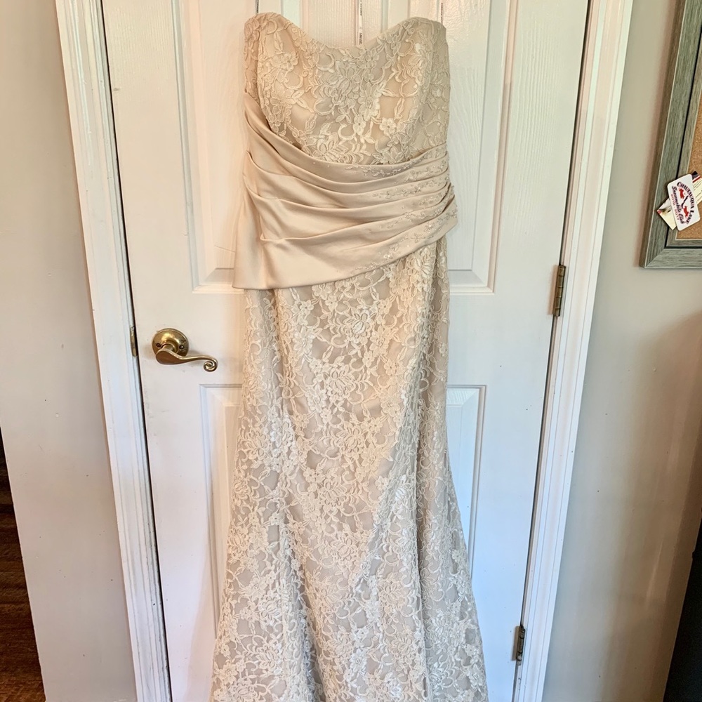 Champagne Lace Dress